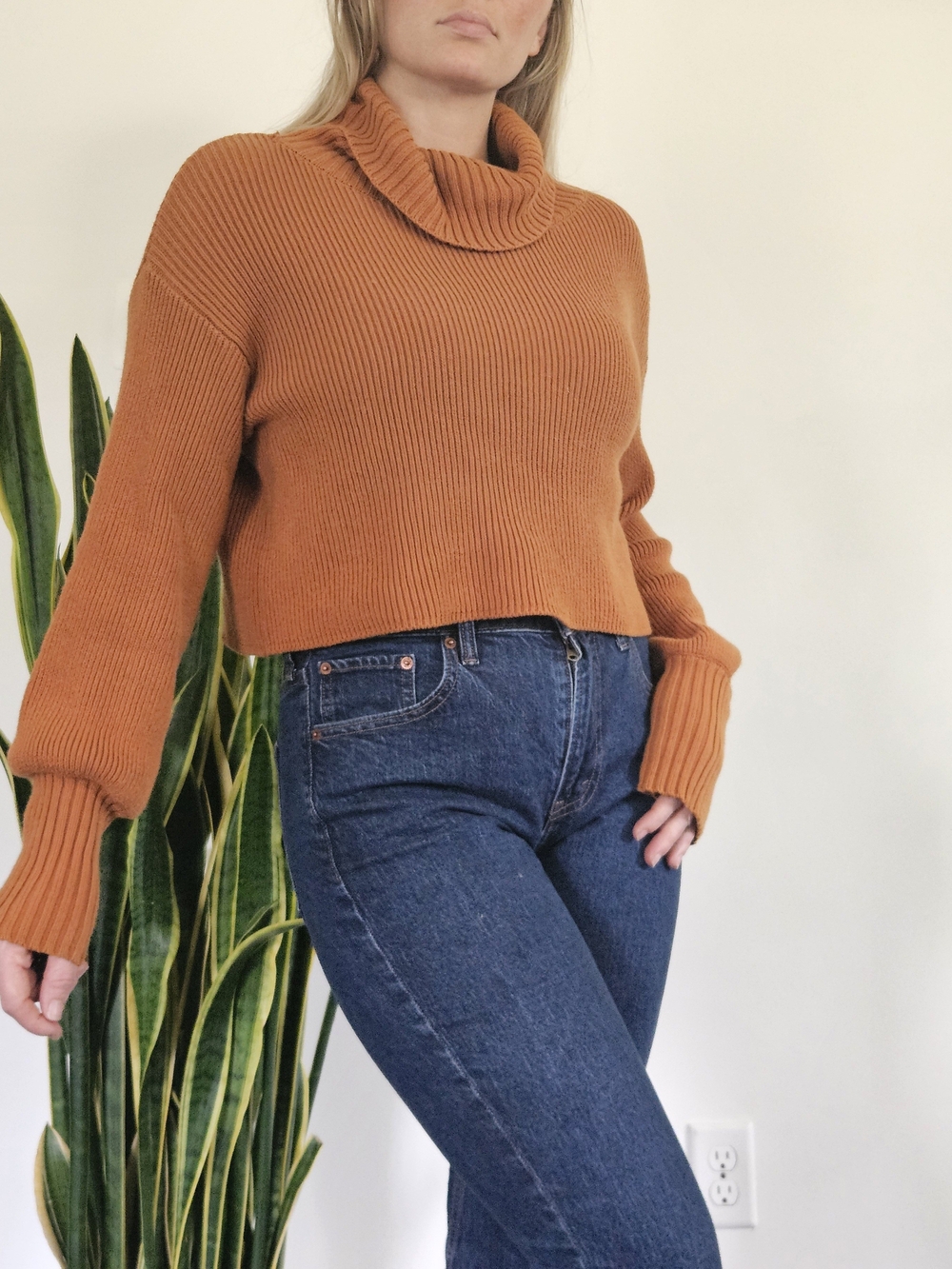 Wild Fable Rust Cowl Neck Cropped Sweater Small